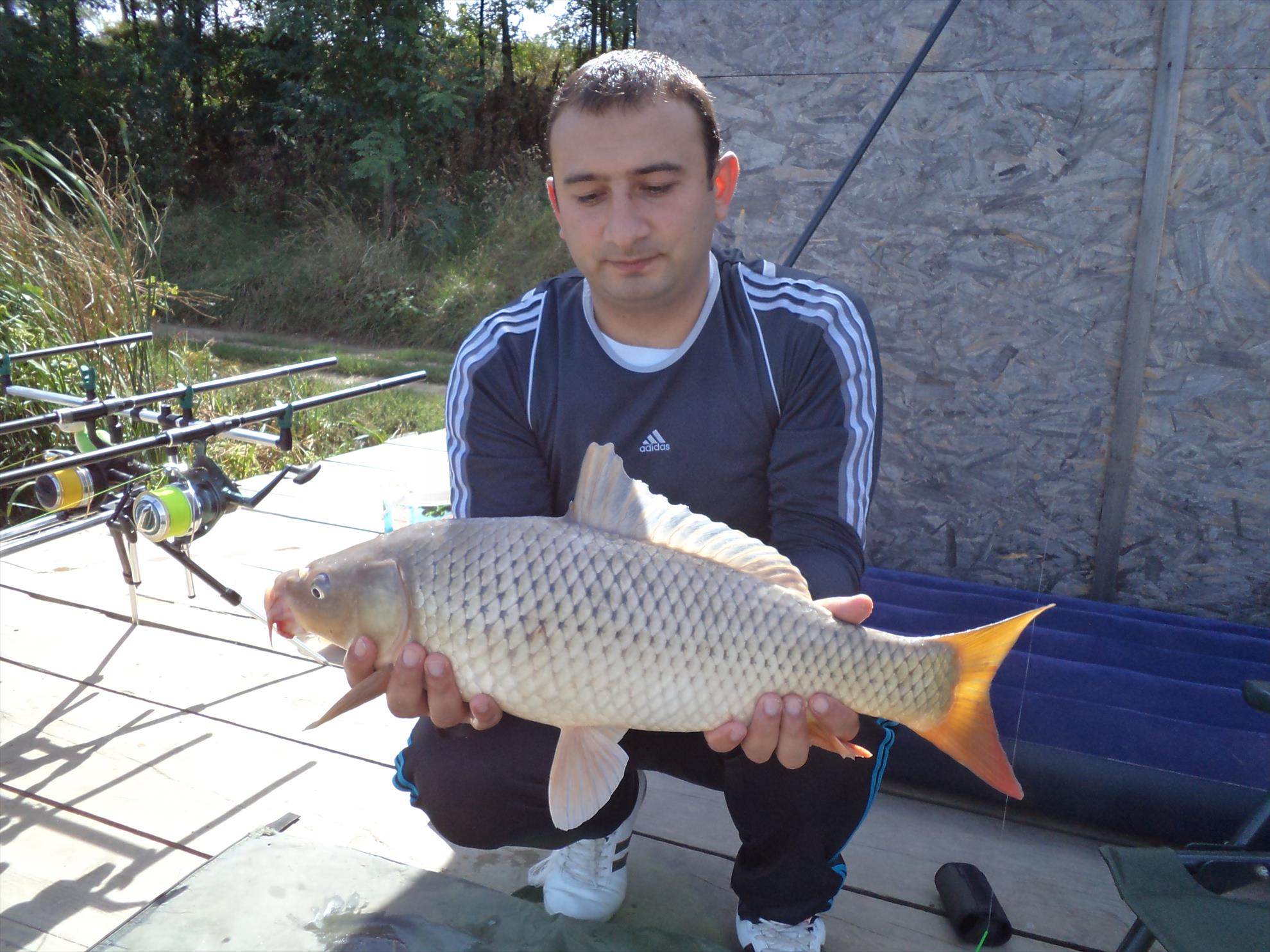 Testarea noilor bete - dsc01593.JPG